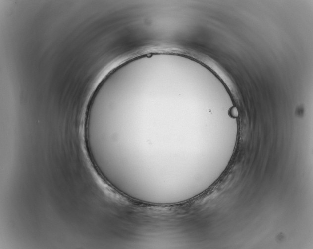 X0000102350861200808010934
