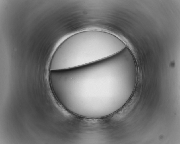 X0000102350862200808010934