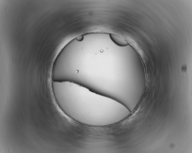 X0000102350863200808010934