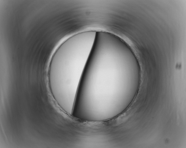 X0000102350864200808010934