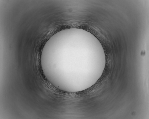 X0000102350866200808010933