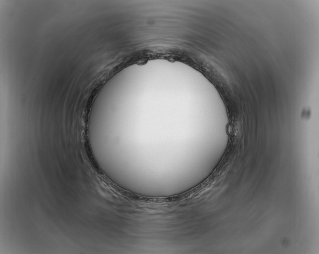 X0000102350868200808010933