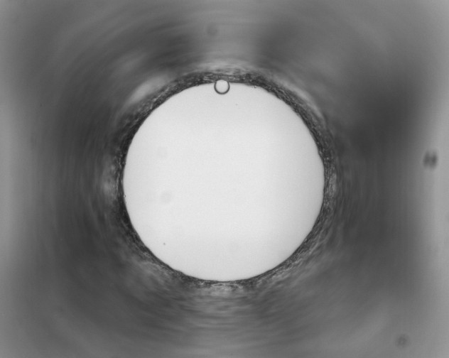 X0000102350869200808010933