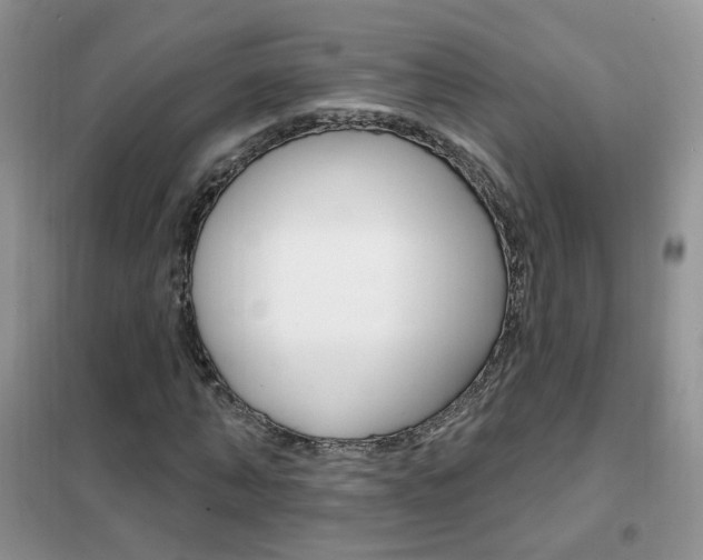 X0000102350870200808010933
