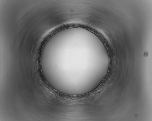X0000102350872200808010933