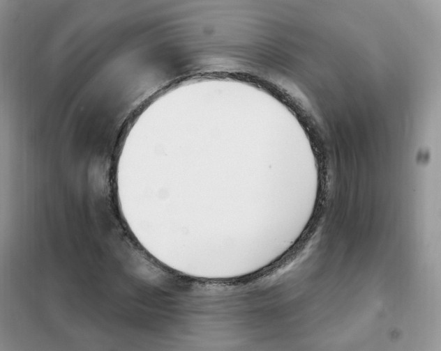 X0000102350873200808010933