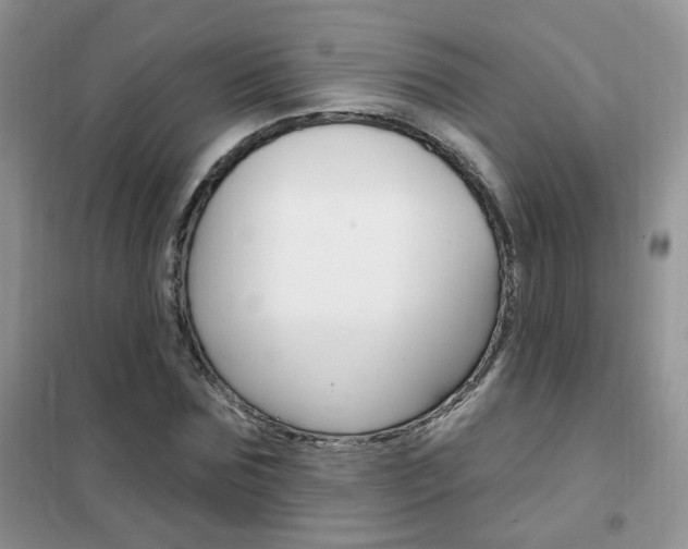 X0000102350875200808010933