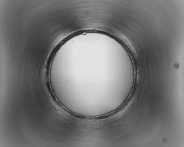 X0000102350876200808010933
