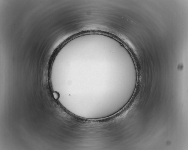 X0000102350877200808010933