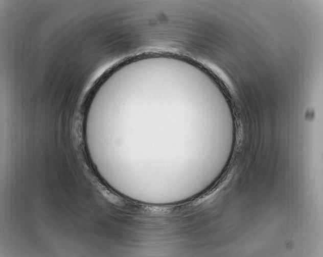 X0000102350878200808010933