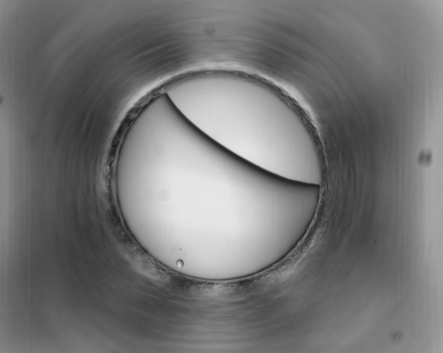 X0000102350879200808010933
