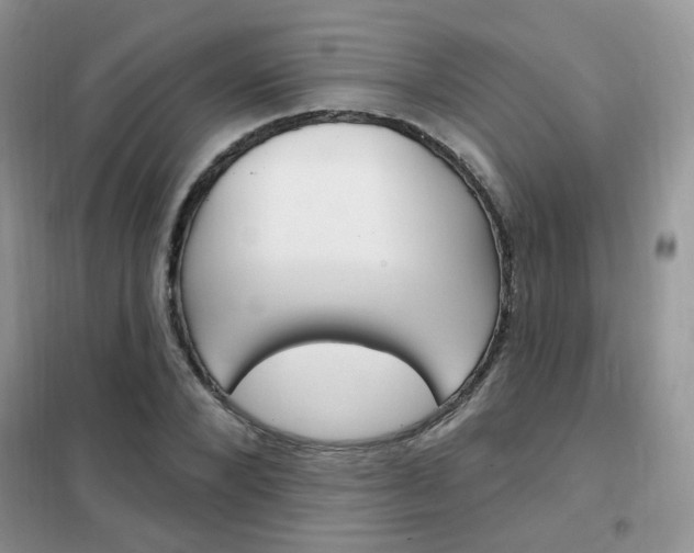 X0000102350880200808010933