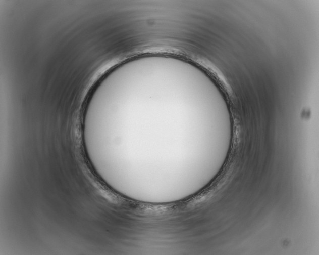 X0000102350882200808010933