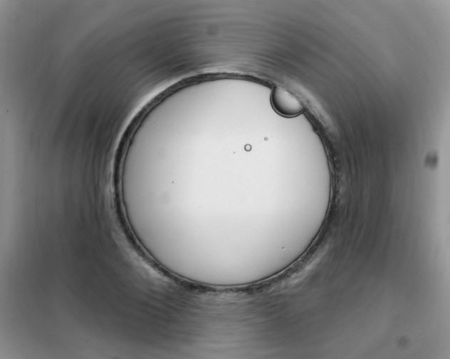 X0000102350884200808010933