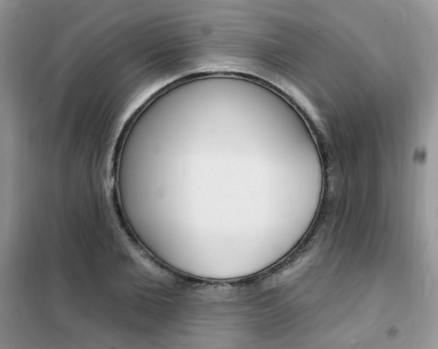 X0000102350885200808010933