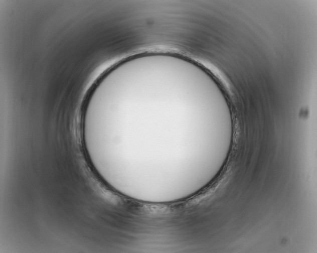 X0000102350886200808010933