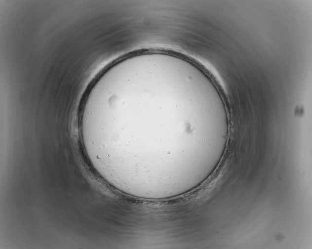 X0000102350887200808010933