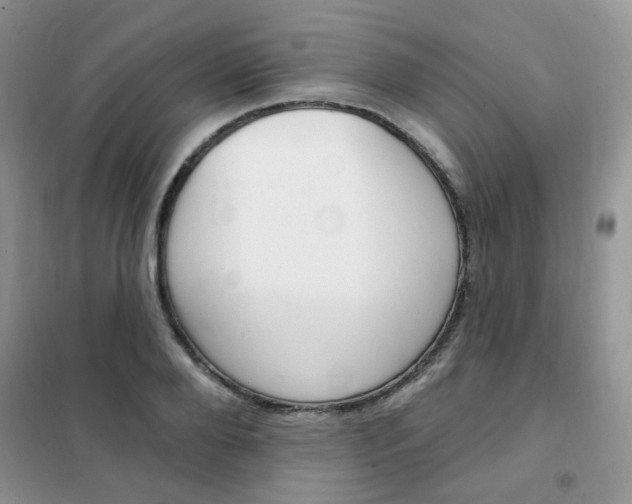 X0000102350888200808010933
