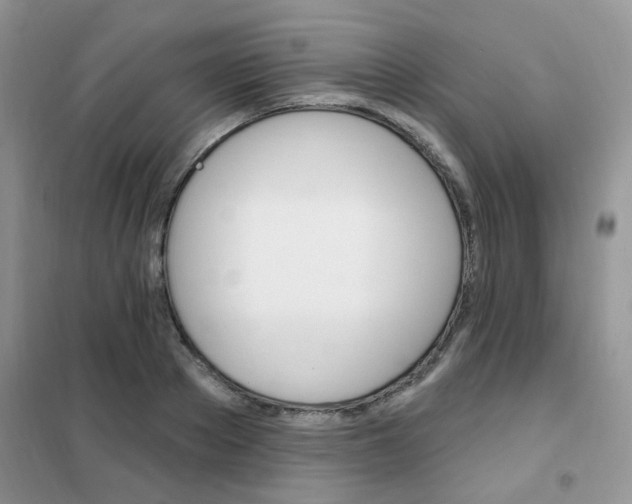 X0000102350889200808010933