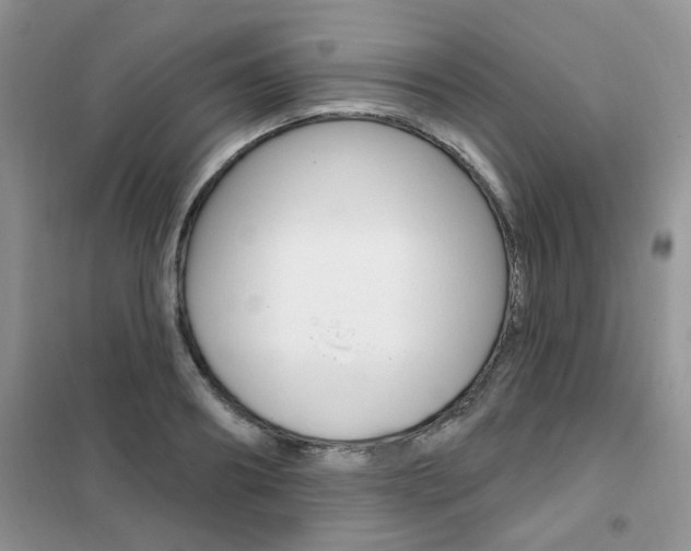 X0000102350890200808010933