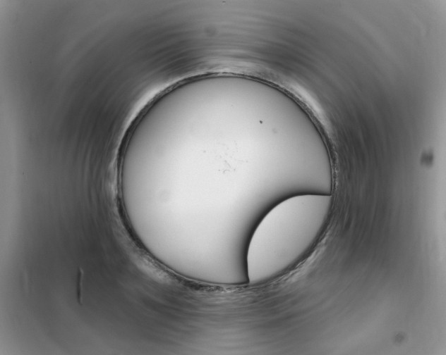X0000102350891200808010933