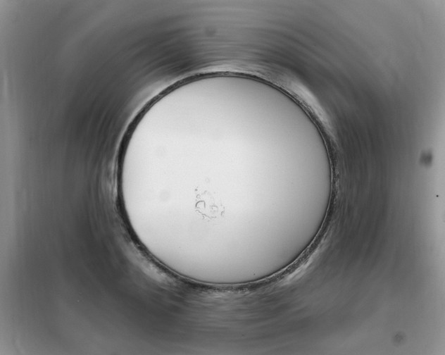 X0000102350892200808010933