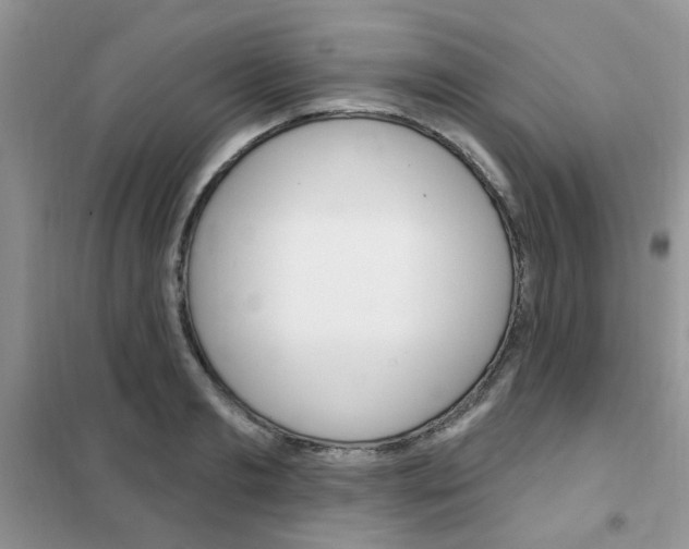 X0000102350893200808010933