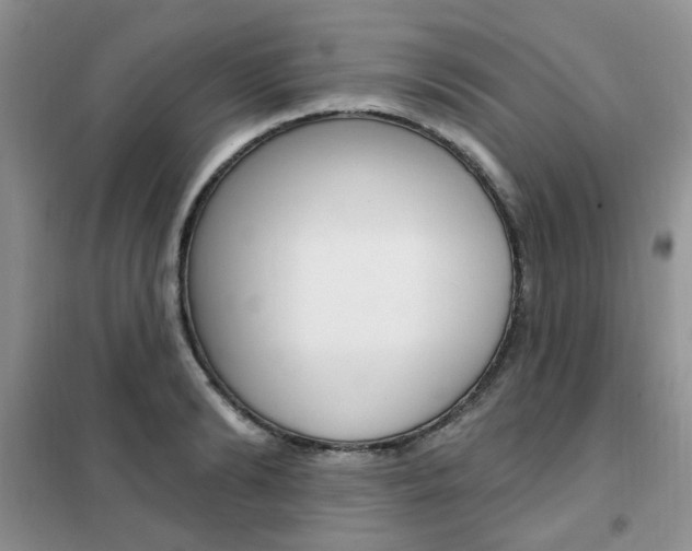 X0000102350894200808010933