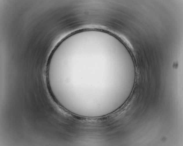 X0000102350895200808010933