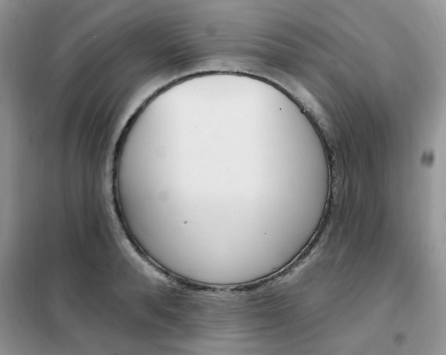 X0000102350896200808010933