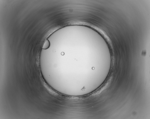 X0000102350897200808010933