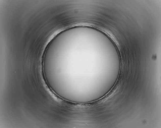 X0000102350898200808010933