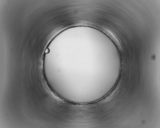 X0000102350900200808010933