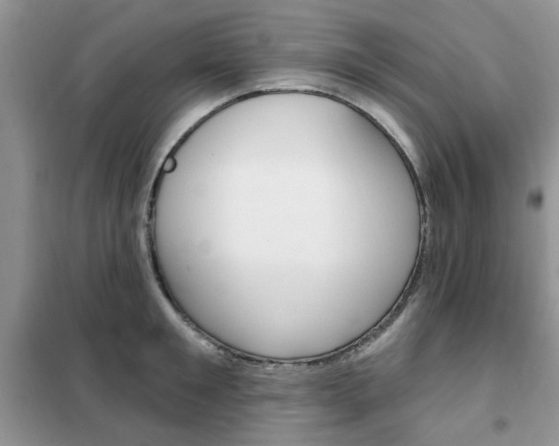 X0000102350901200808010933