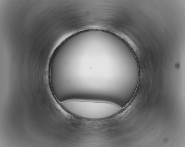 X0000102350902200808010933