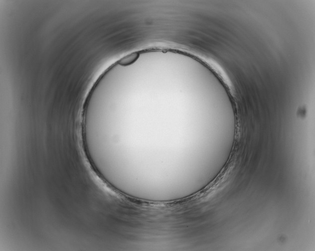 X0000102350903200808010933