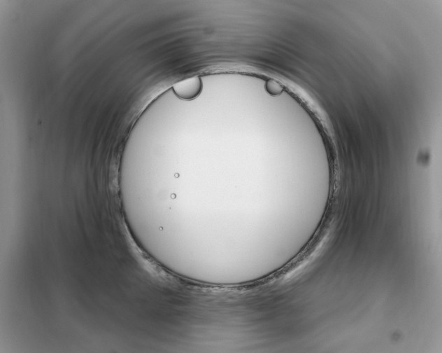 X0000102350905200808010933