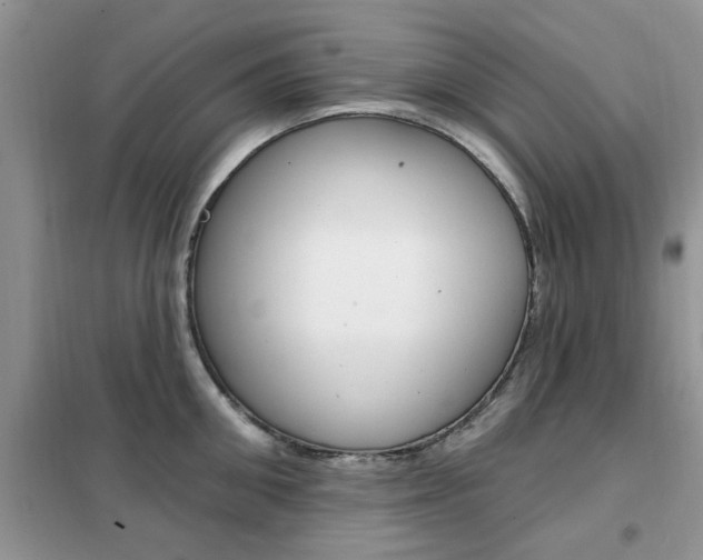 X0000102350906200808010933