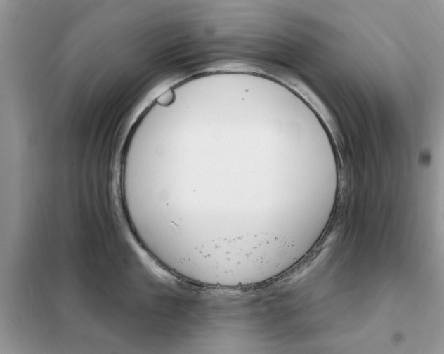 X0000102350909200808010933