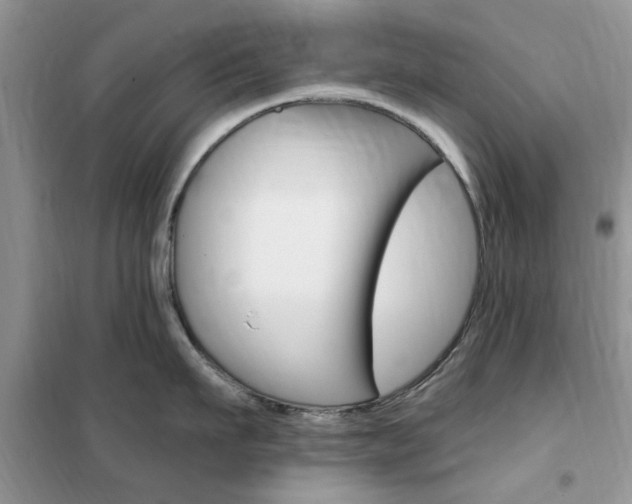 X0000102350911200808010933