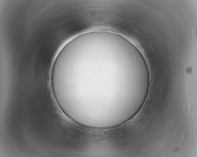 X0000102350912200808010933