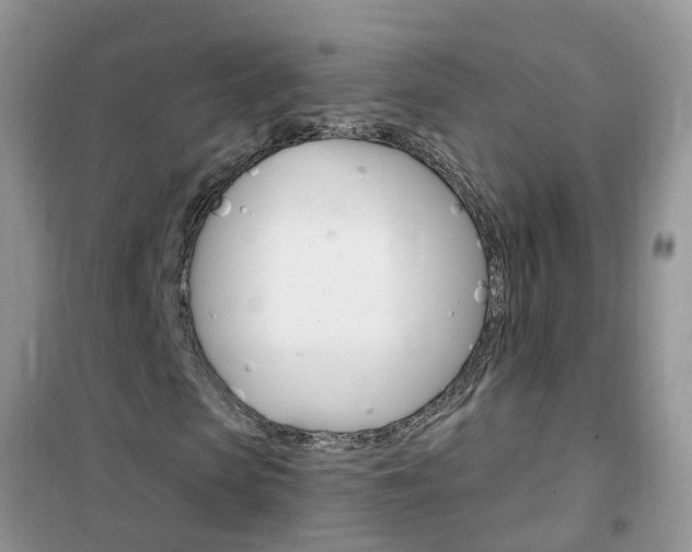 X0000102350913200808010932