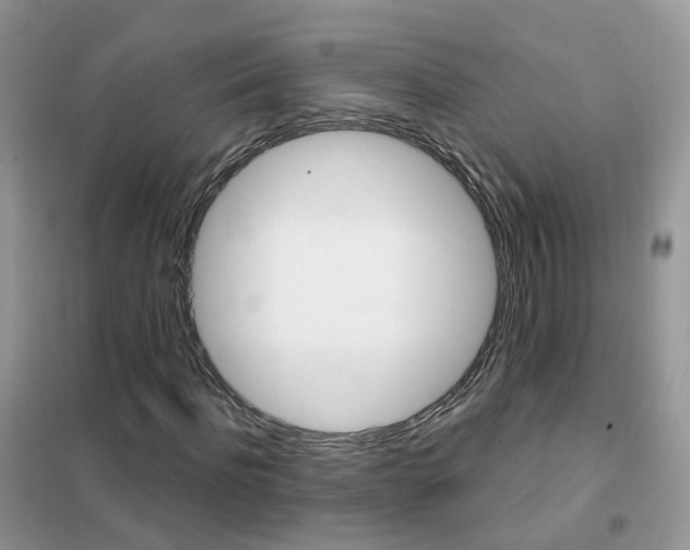 X0000102350916200808010932