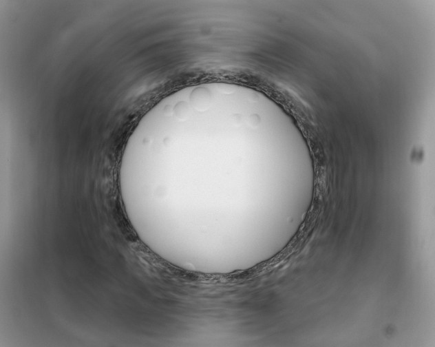 X0000102350917200808010932
