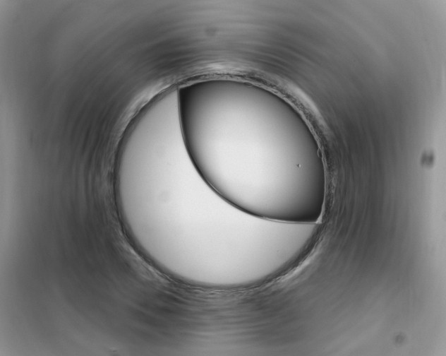 X0000102350930200808010932