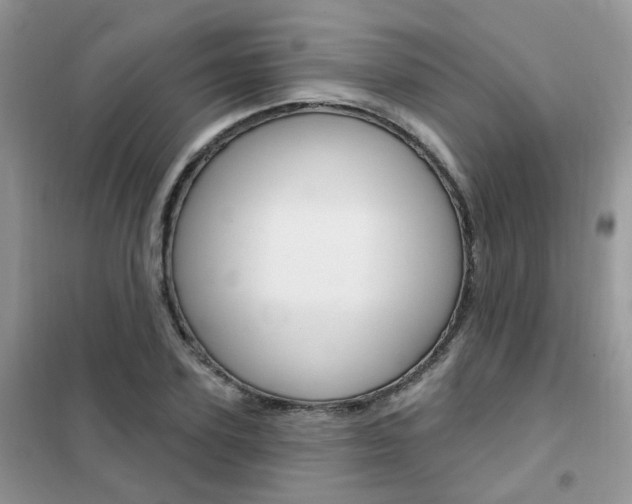 X0000102350931200808010932