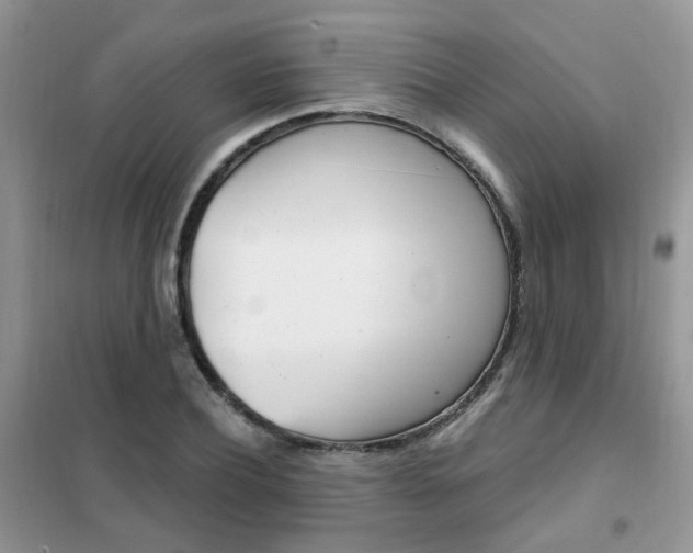 X0000102350932200808010932