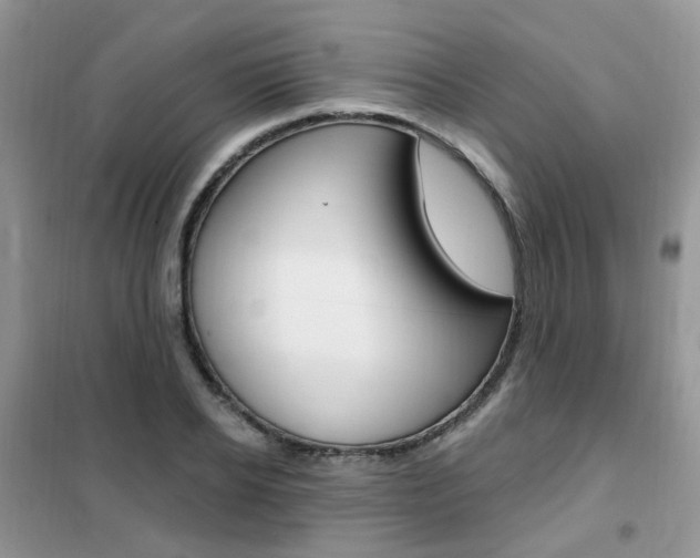 X0000102350934200808010932