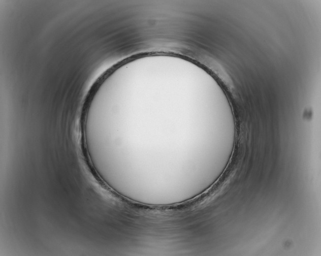 X0000102350936200808010932