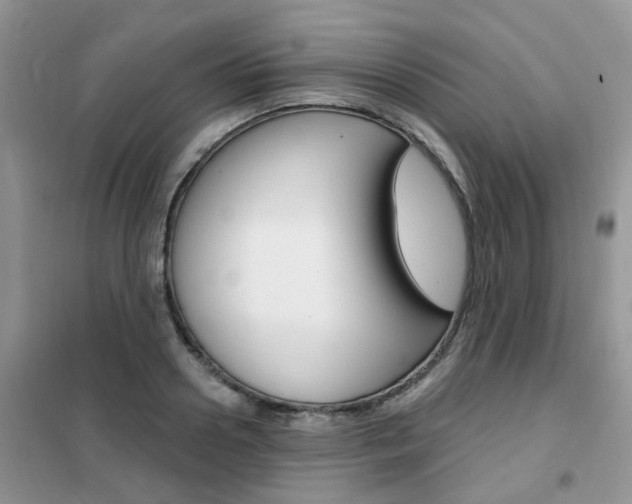 X0000102350938200808010932